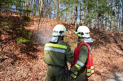 Bezirk Amstetten: Warnung vor Waldbränden 
