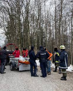 Feuerwehren zu Forstunfällen in Sonntagberg und Euratsfeld ausgerückt